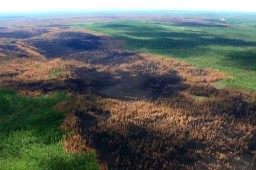 «Будто пришел конец света»: как Сибирь страдала от лесных пожаров