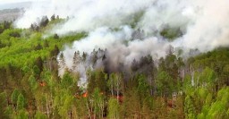 Пожары в Иркутской области распространяются из-за бездействия муниципалитетов, заявляет МЧС
